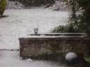 Snowy Planter