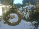 Back Garden
