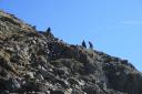 Scrambling Up